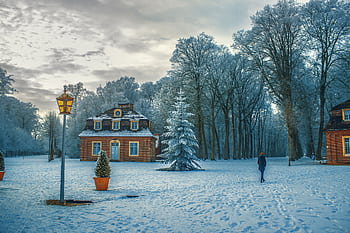 Scenic winter landscape featuring a cozy house and snow-covered trees under a cloudy sky. HD wallpaper
