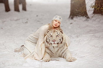 Winter beauties, winter, model, white, blonde, iarna, snow, tigru, girl, tiger HD wallpaper