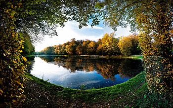 Landscape, nature, tree, pond HD wallpaper