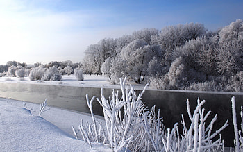 Snow, Winter, Frost, , Forest, River, Stream HD wallpaper