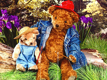 Toys, Objects, Bears HD wallpaper