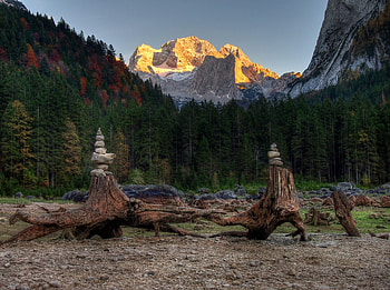 Landscape, Nature, Stones, Mountains, Forest, Driftwood HD wallpaper