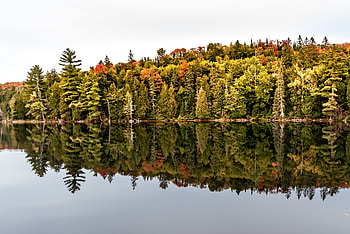 Canada, lake, autumn, tree, reflections, nature HD wallpaper
