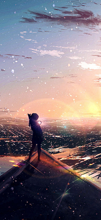 Skyward Whisker — Anime Cat at Sunset, cat, sky, Anime, anime cat, anime sunset, Sky Anime HD phone wallpaper