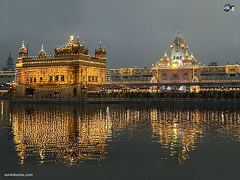 Golden temple, night, reflection, gold, temple HD wallpaper