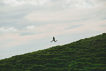 Nature, Grass, Sky, Minimalism, Human, Person, Bounce, Jump HD wallpaper