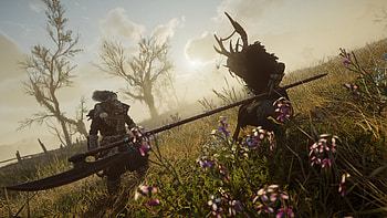 video game, Assassin's Creed Valhalla HD wallpaper