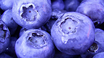 Food, Bilberries, Sweet, Berry HD wallpaper