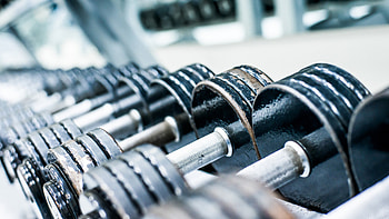 Dumbbells, Gym HD wallpaper