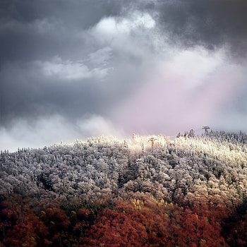 Autumn, forest, cloudy sky HD phone wallpaper