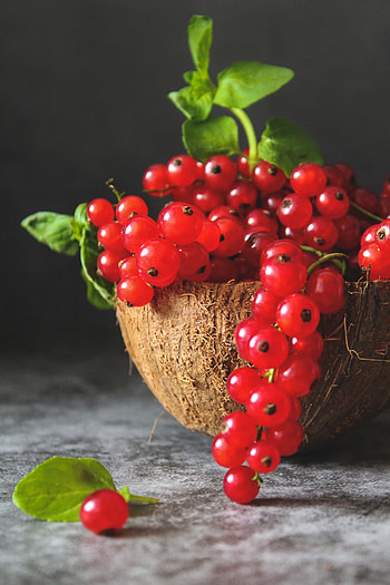 Food, Leaves, Currant, Berry, Fruit HD phone wallpaper