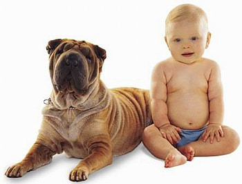 YOUNG FRIENDS, baby, pals, puppy, friends HD wallpaper