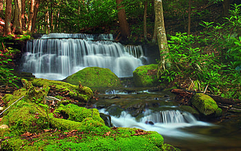 Yost Run Falls, Pennsylvania, trees, cascades, forest, rocks, usa, stones HD wallpaper