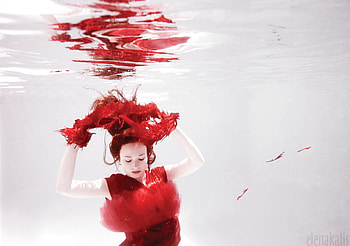 Feathers, red HD wallpaper