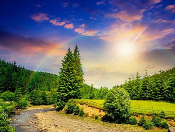 Summer Rainbow, path, sunlights, summer, rainbow, field, clouds, trees, nature, sky HD wallpaper