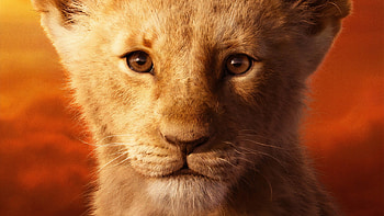 Lion King HD wallpaper