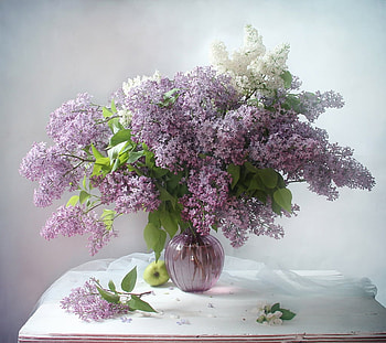 Lilac blooms, Flowers, Lilac, Bouquet, Table HD wallpaper