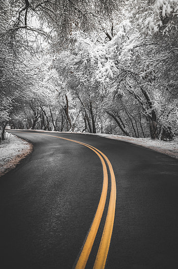 Winter, Nature, Trees, Snow, Road, Turn, Markup, Asphalt HD phone wallpaper