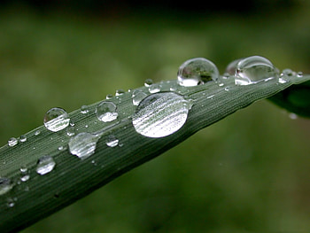 Background, Drops HD wallpaper