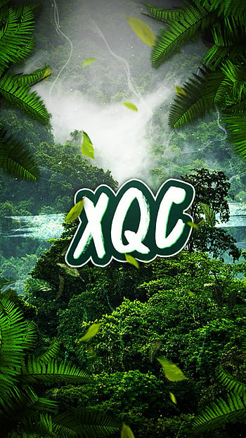 Xqc, streamer, twitch, xqcL, jungle, cute HD phone wallpaper