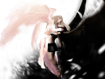 Angels Untitled, two, wings, white, black, winged, submission, angel HD wallpaper