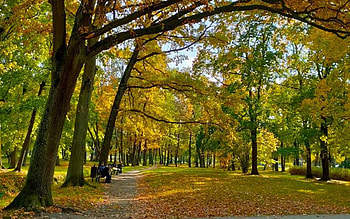 Park in Latvia, benches, autumn, Latvia, park, path HD wallpaper