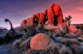 Snow sprinkle in Joshua Tree, winter, california, national park, snow HD wallpaper