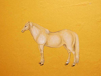White horse, animal, horse, drawing, yellow HD wallpaper