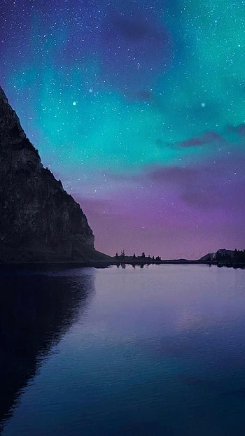 nature, nature life, beauty nature HD phone wallpaper