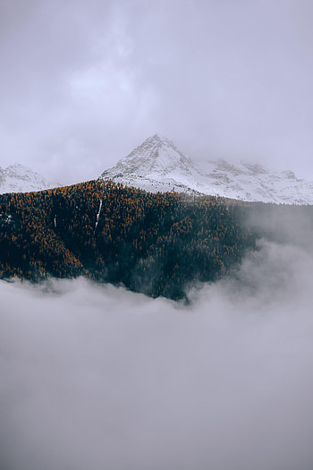 Nature, Trees, Mountains, Clouds HD phone wallpaper