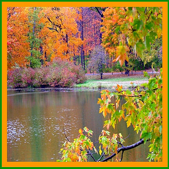 Automnal, eau, frais, arbres, couleurs HD wallpaper