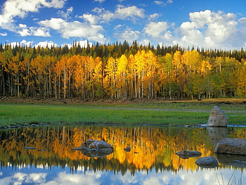 Landscape, Water, Rivers, Trees HD wallpaper