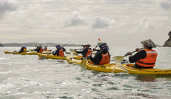 Sea kayaking, Auckland HD wallpaper