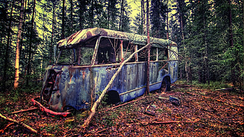 Old Vintage Bus In Forest, vintage, bus, forest HD wallpaper
