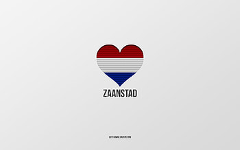 I Love Zaanstad, Dutch cities, Day of Zaanstad, gray background, Zaanstad, Netherlands, Dutch flag heart, favorite cities, Love Zaanstad HD wallpaper