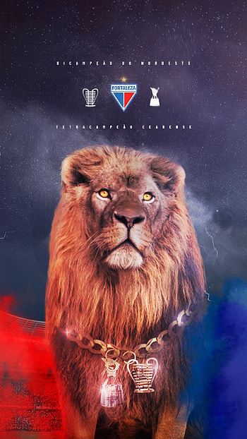 Fortaleza Campeão 2022, Leao HD phone wallpaper