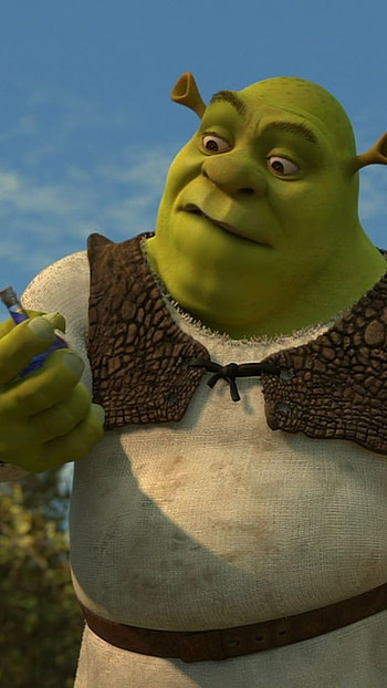 Shrek, Shrek The Rock HD phone wallpaper