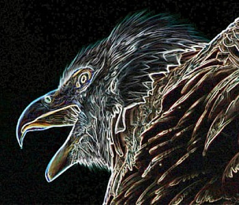 When it rains, most birds head for shelter. The eagle is the only bird that, in order to avoid the rain, starts flying above the clouds HD wallpaper