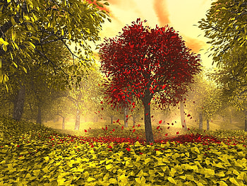 Landscape, Trees, Autumn, Leaves HD wallpaper