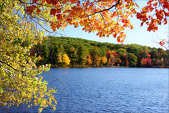 Lake, lakes, sky, forests, nature HD wallpaper
