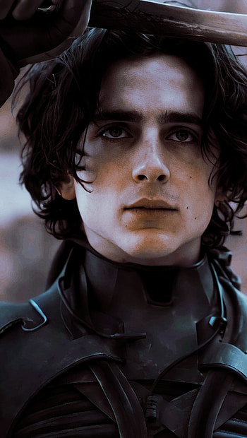 timothee chalamet, eye, nose HD phone wallpaper