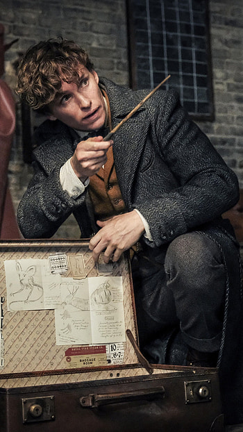 Newt Scamander, Magic, Fantasy HD phone wallpaper