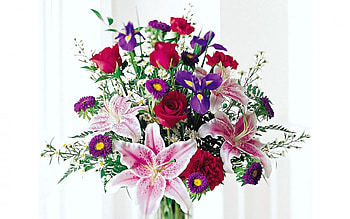 Plants, Flowers, Bouquets HD wallpaper