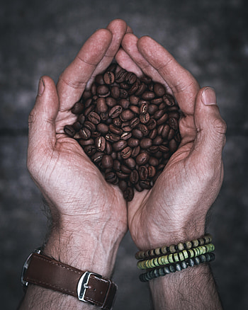 Palms, Clock, Coffee, Miscellanea, Miscellaneous, Palm, Hands HD phone wallpaper