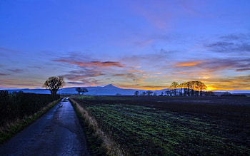 Landscape, Nature, Sunset, Road, Field HD wallpaper