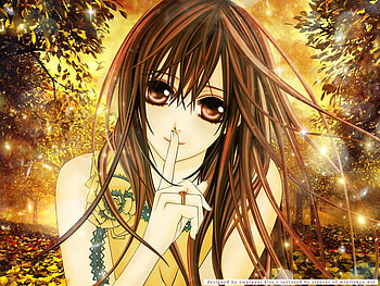 Yuki Cross, vampire knight, anime, fall, girls, manga, orange HD wallpaper