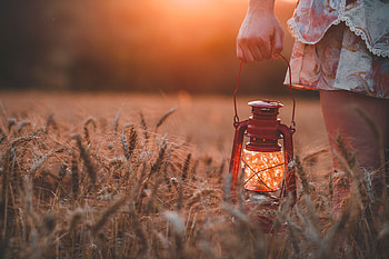 Grass, Hand, Miscellanea, Miscellaneous, Field, Lamp HD wallpaper