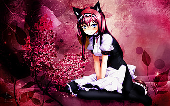 Beauty Kitty, classic, anime, pc, game, touhou, girl, beauty HD wallpaper