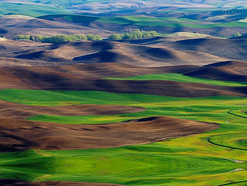 Patches, grass, field, land HD wallpaper