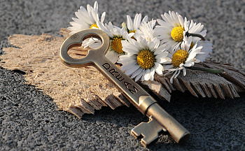 Words, Camomile, Inscription, Dream, Key HD wallpaper